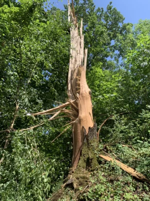 Foto des Albums: Einsatz 17/2026