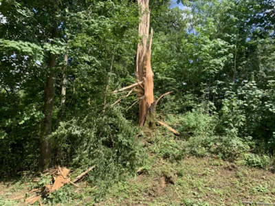 Foto des Albums: Einsatz 17/2026