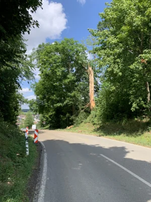 Foto des Albums: Einsatz 17/2026