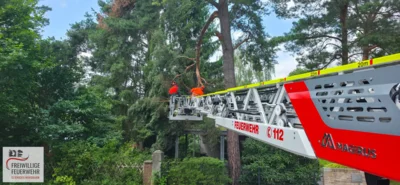 Foto des Albums: Einsatz Nr.:86/2026 H:klein