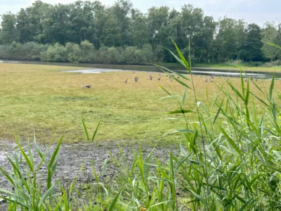 Foto des Albums: Heidberg, Heidewinkel und Würmsee