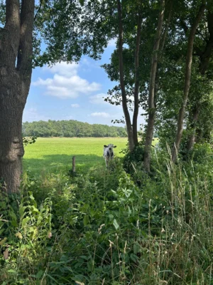 Foto des Albums: Heidberg, Heidewinkel und Würmsee