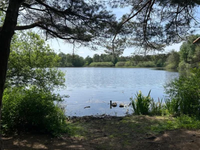 Foto des Albums: Heidberg, Heidewinkel und Würmsee