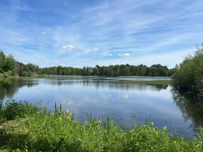 Foto des Albums: Heidberg, Heidewinkel und Würmsee