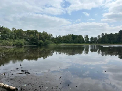 Foto des Albums: Heidberg, Heidewinkel und Würmsee