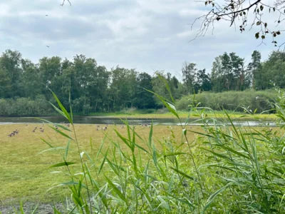Foto des Albums: Heidberg, Heidewinkel und Würmsee