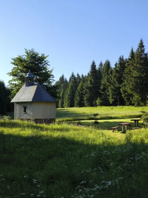 Breitenbrunn Annika Heine 1  (Bild vergr&ouml;&szlig;ern)
