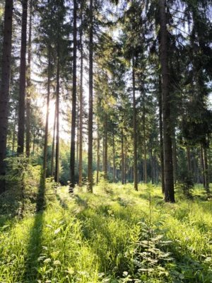 Breitenbrunn Annika Heine 2  (Bild vergr&ouml;&szlig;ern)