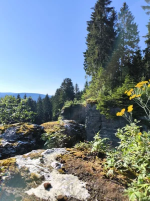 Breitenbrunn Annika Heine 3  (Bild vergr&ouml;&szlig;ern)