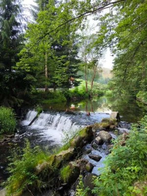 J&ouml;hstadt Steinbach Annika Heine 1  (Bild vergr&ouml;&szlig;ern)