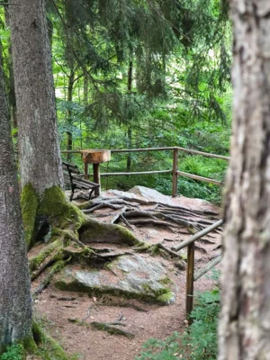 J&ouml;hstadt Steinbach  Annika Heine 2  (Bild vergr&ouml;&szlig;ern)