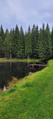Kammweg ab Rittersgr&uuml;n  (Bild vergr&ouml;&szlig;ern)
