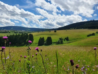 Kurort Oberwiesenthal copyright G&auml;steinformationKurortOberwiesenthal  (Bild vergr&ouml;&szlig;ern)