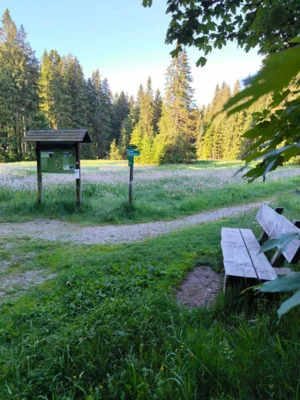 Rundwanderweg Henneberg-Oberjugel Annika Heine 2  (Bild vergr&ouml;&szlig;ern)