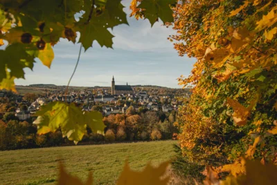 T  Seidler-Blick auf Schneeberg  (Bild vergr&ouml;&szlig;ern)