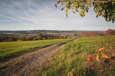 T  Seidler Wanderbarer Silberberg  (Bild vergr&ouml;&szlig;ern)