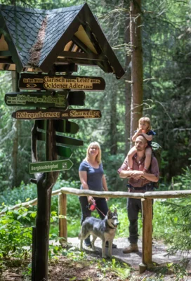 Wander  Wald Familie Geyer 50 Foto TVE Uwe Meinhold  (Bild vergr&ouml;&szlig;ern)