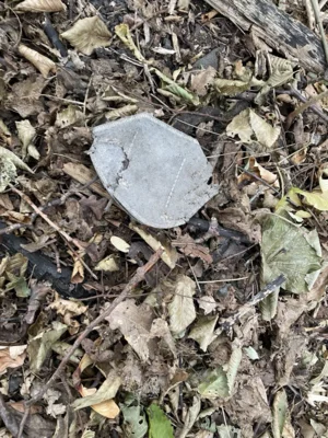 Foto des Albums: 4. CleanUp am Parkplatz Hahnenstraße