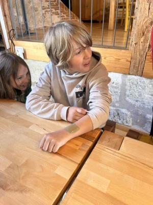 Vorschaubild der Galerie