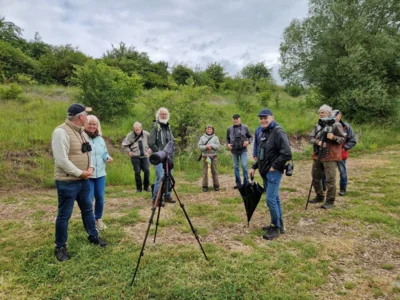 Exkursionsteilnehmer (nach der Wetterbesserung), Foto: H.B. Hartmann (14.06.2026) 