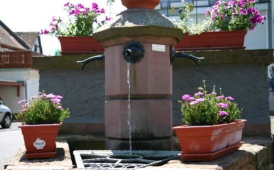 Foto des Albums: Ortsbilder Usenborn