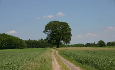 Foto des Albums: Ortsbilder Usenborn