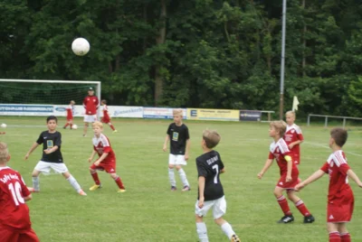 Foto des Albums: F-Jugend Kreispokal Gewinner 2017