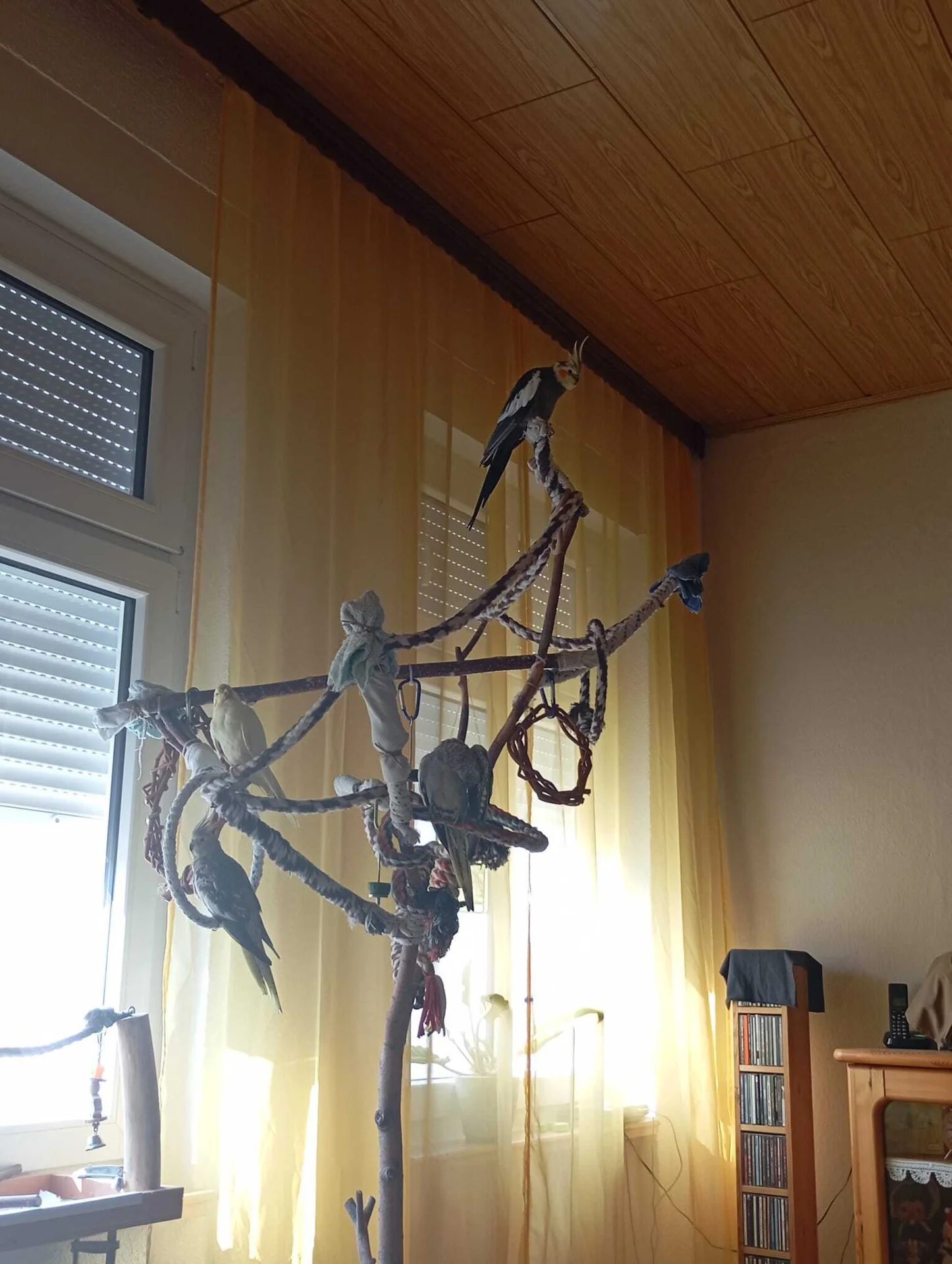 Bild der Galerie