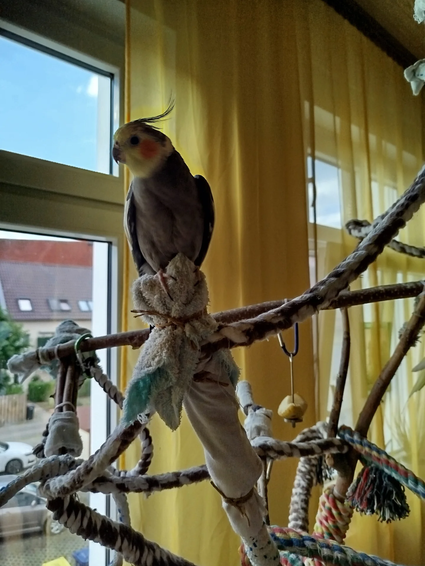 Bild der Galerie