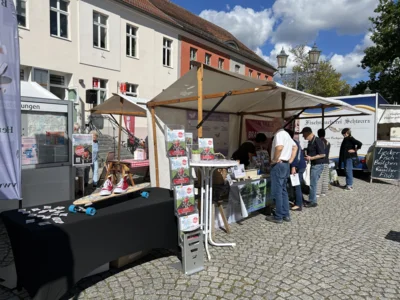 image00033  (Bild vergr&ouml;&szlig;ern)