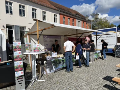 image00034  (Bild vergr&ouml;&szlig;ern)