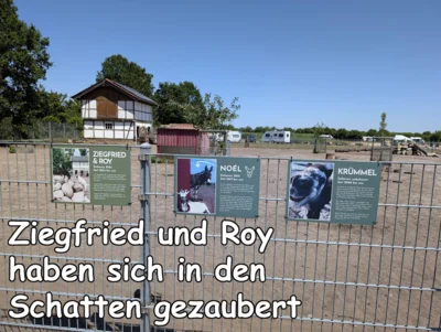 025 der Streichelzoo  (Bild vergr&ouml;&szlig;ern)
