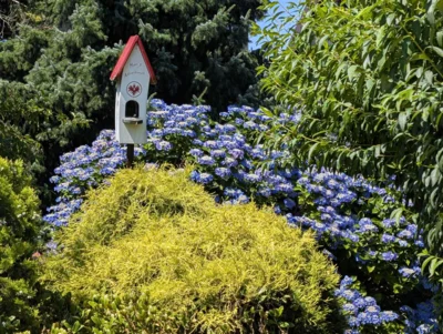 054 Haus mit Blumen  (Bild vergr&ouml;&szlig;ern)