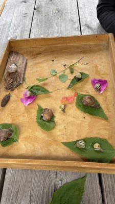 Foto des Albums: Die Natur im Frühjahr