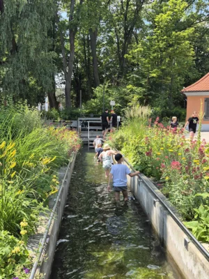 Foto des Albums: Wassertreten im Kurpark