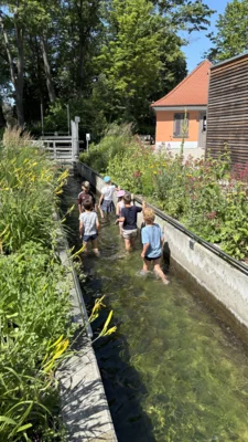 Foto des Albums: Wassertreten im Kurpark