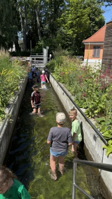 Foto des Albums: Wassertreten im Kurpark