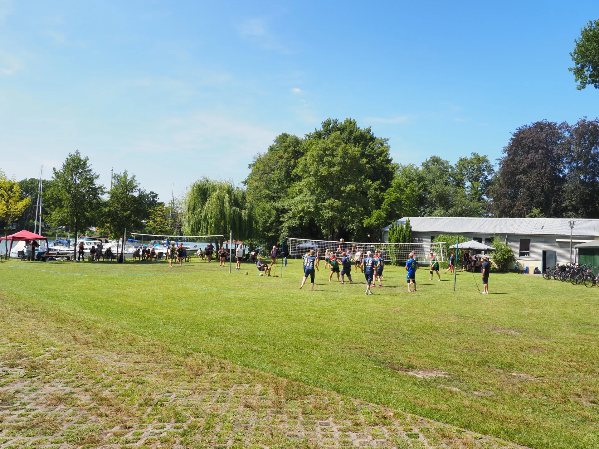 Bild der Galerie