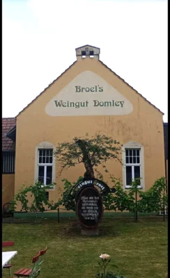 Besichtigung Broel`s Weingut in Rh&ouml;ndorf  (Bild vergr&ouml;&szlig;ern)