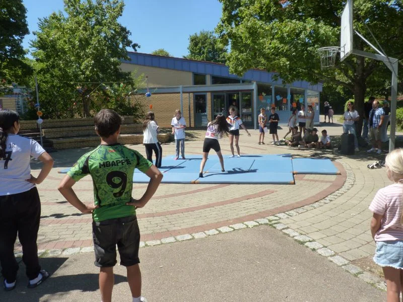 Bild der Galerie