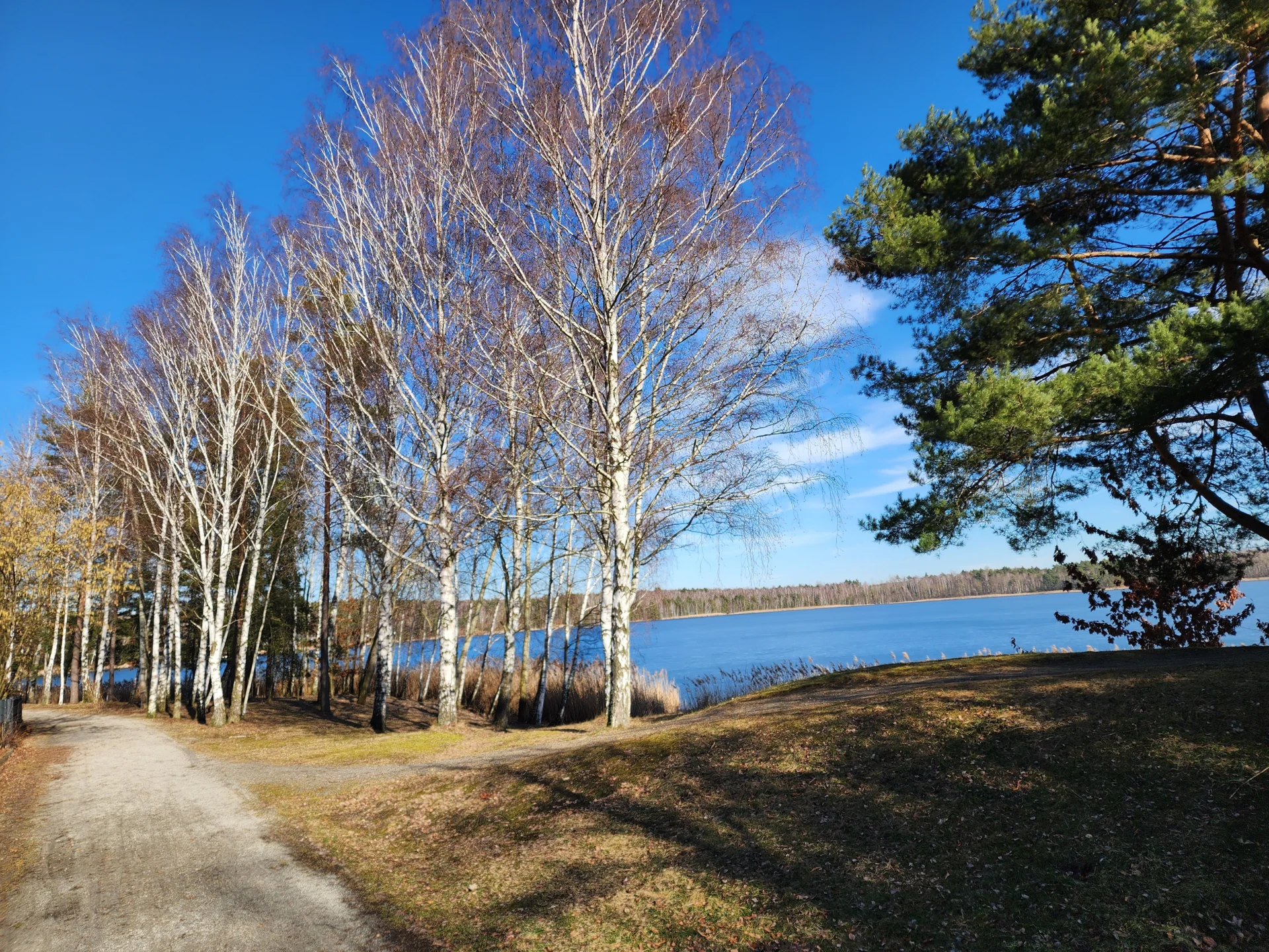 Bild: 1 Rundweg um See