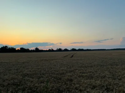 Haage Feld 