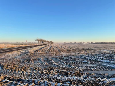 Foto des Albums: Senzke