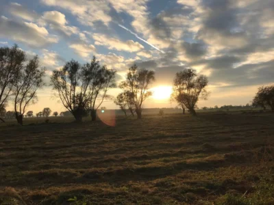 Feld Wagenitz 