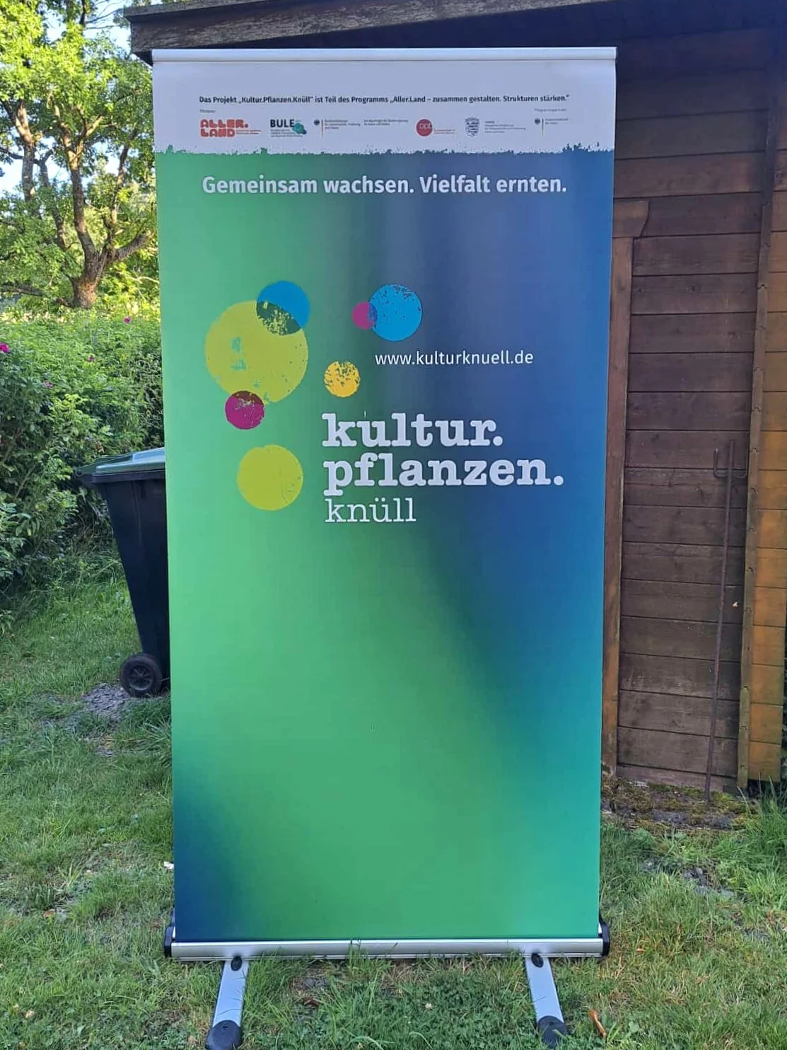 Bild der Galerie