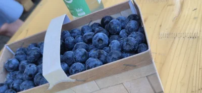 K&ouml;rbeweise f&uuml;r uns zum Vernaschen  (Bild vergr&ouml;&szlig;ern)