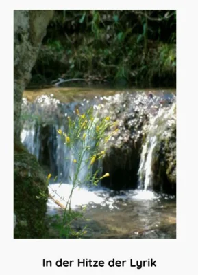 Foto des Albums: Bad Urach