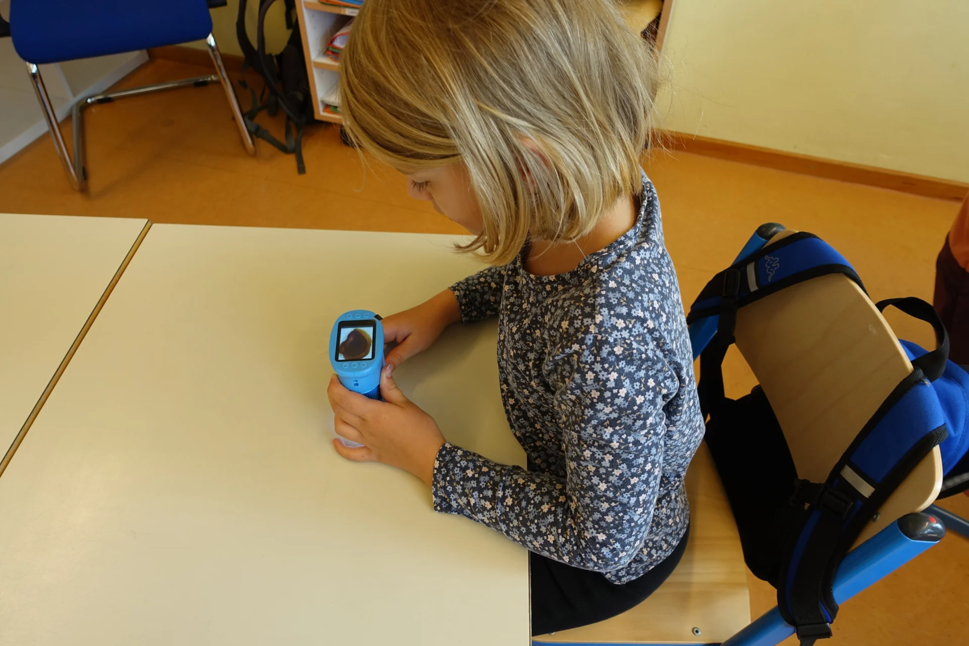 Bild der Galerie
