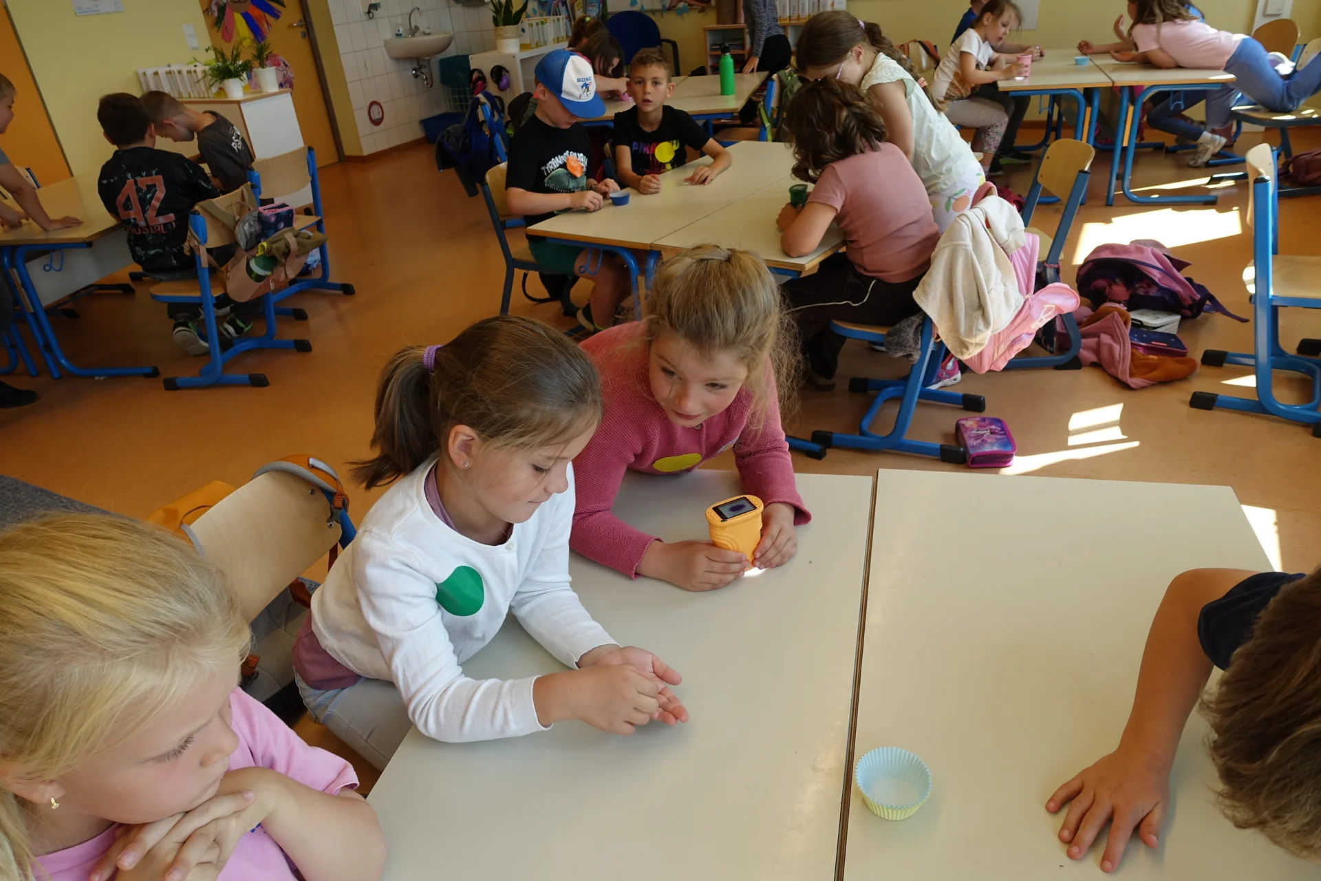 Bild der Galerie