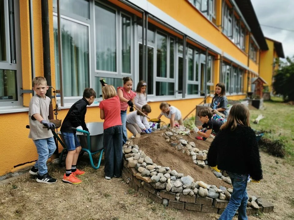 Bild der Galerie